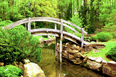 LANDSCAPING DESIGN AND EXECUTION