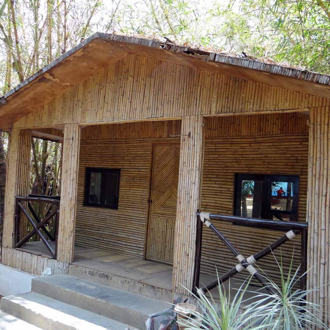 most eco friendly buildings