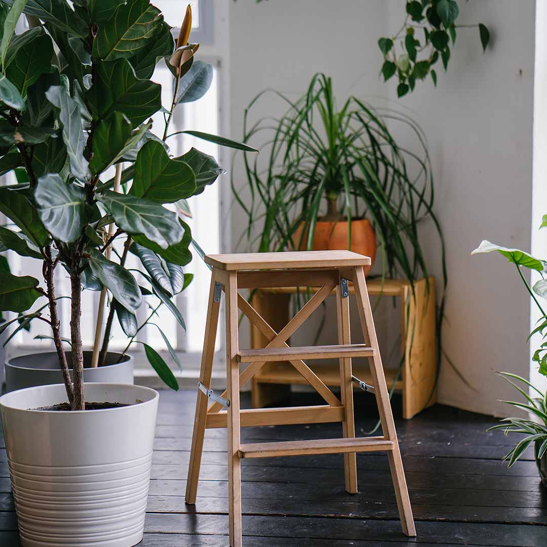 interior designs and developments