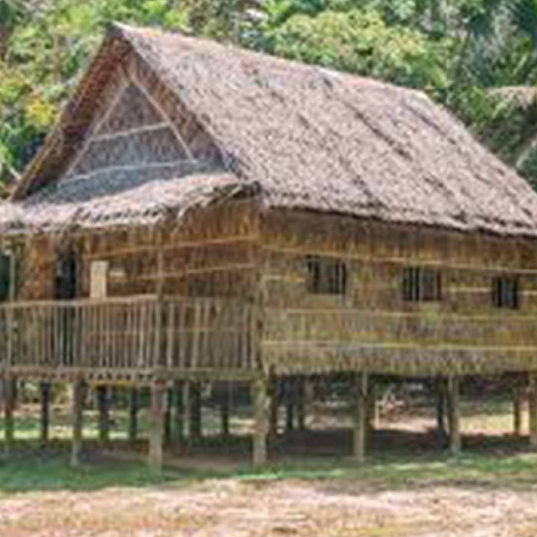 tatch roof house - eco friendly building