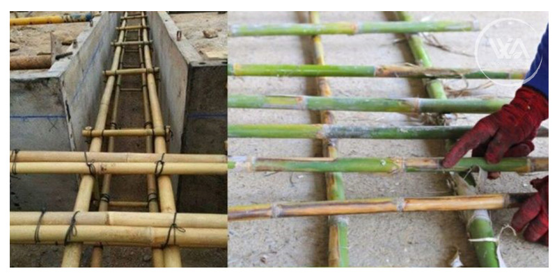 Construction Project: Bamboo vs Concrete 