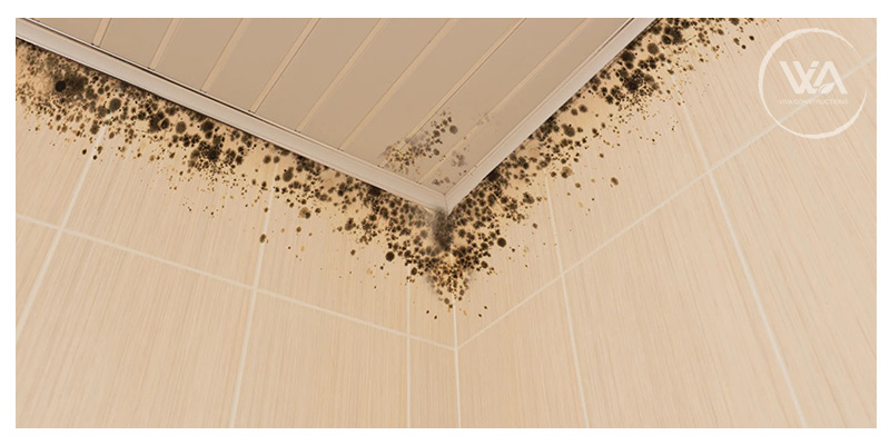 Removing a bacterial influx in heritage tiles